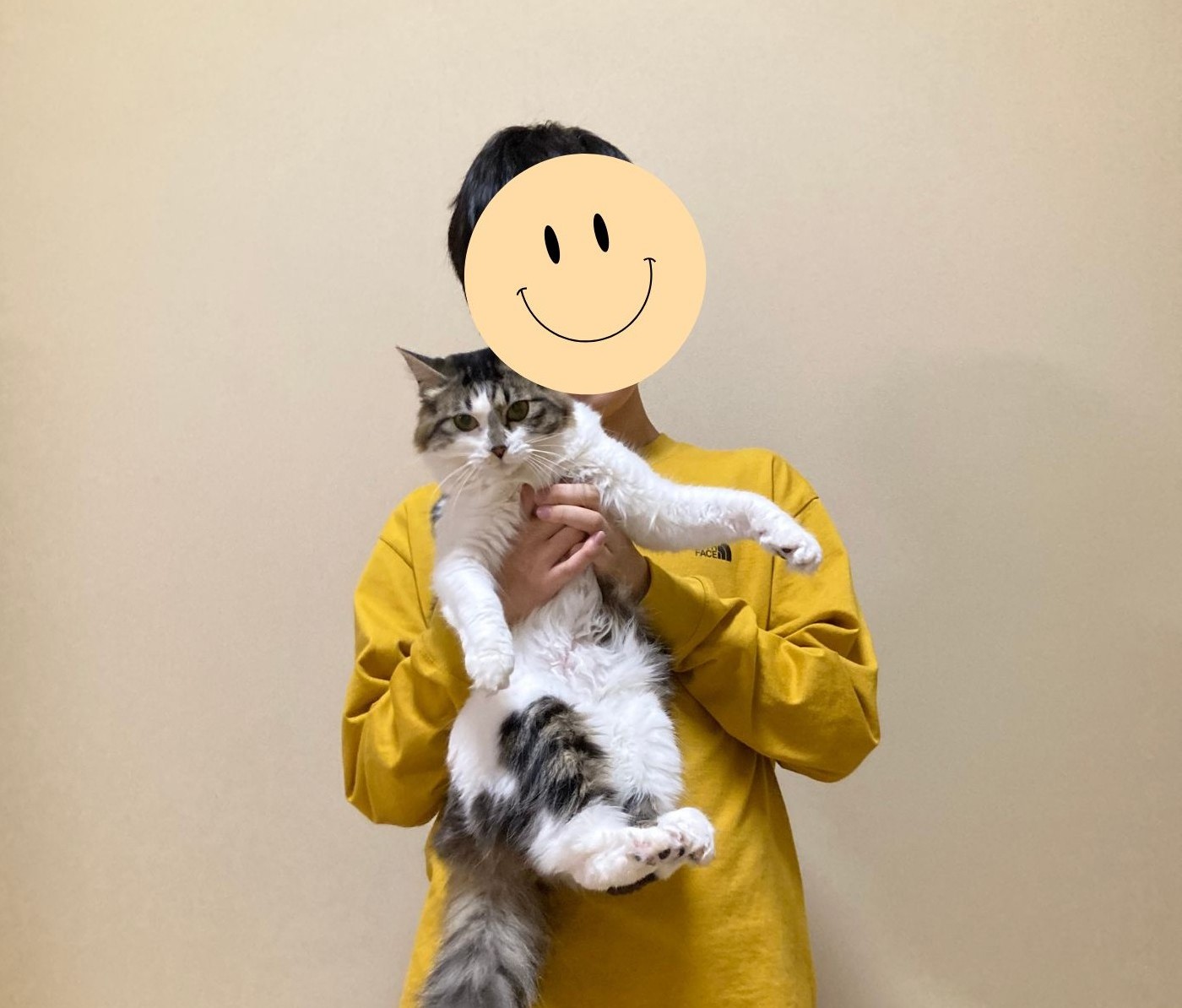 活用例の画像